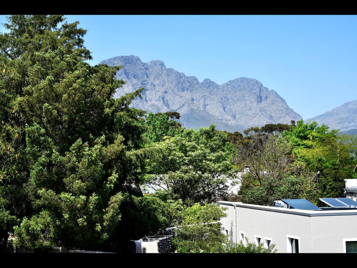 Small Wonder Franschhoek Kültér fotó